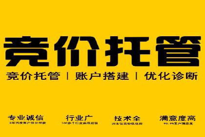 百度SEO推广实战：行业领先企业的成功之道